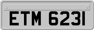 ETM6231