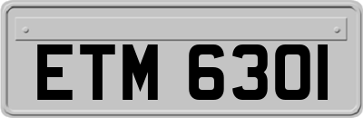 ETM6301