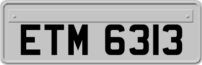 ETM6313