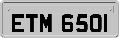 ETM6501