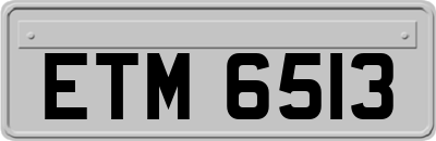 ETM6513