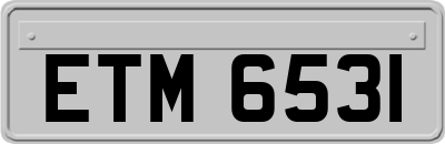ETM6531