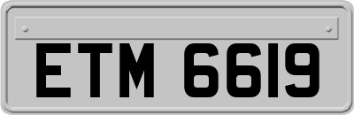 ETM6619