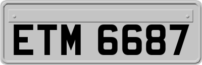 ETM6687