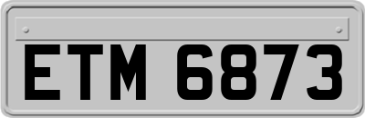 ETM6873
