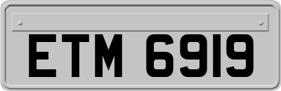 ETM6919