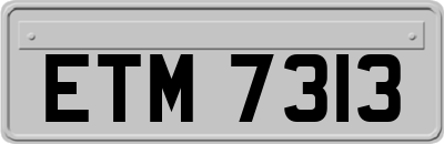 ETM7313