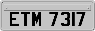 ETM7317