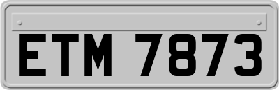 ETM7873