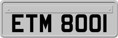 ETM8001