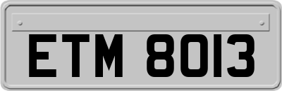 ETM8013