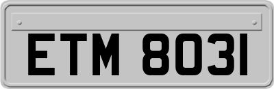 ETM8031