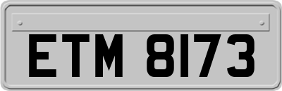 ETM8173