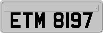 ETM8197