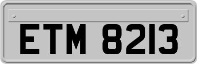 ETM8213