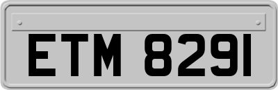 ETM8291
