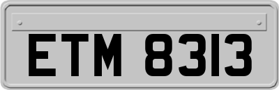 ETM8313