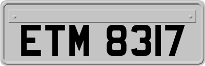 ETM8317