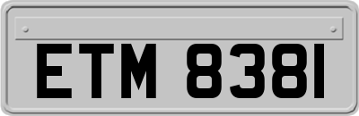 ETM8381