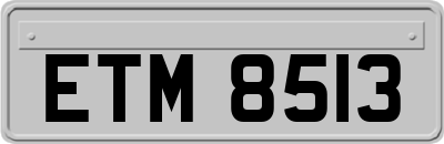 ETM8513