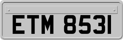 ETM8531