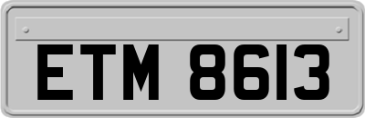 ETM8613