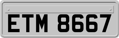 ETM8667