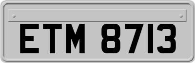 ETM8713