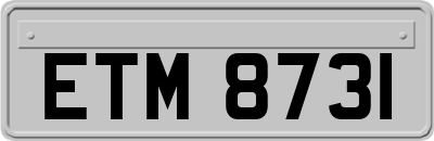 ETM8731