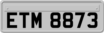 ETM8873