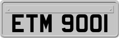 ETM9001