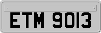 ETM9013