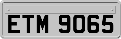 ETM9065