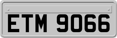 ETM9066