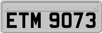 ETM9073