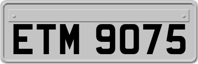 ETM9075