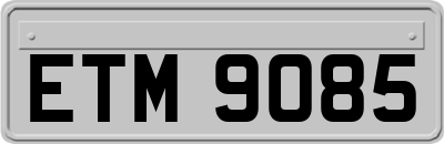 ETM9085