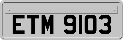 ETM9103