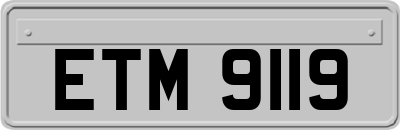 ETM9119