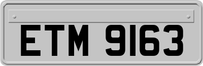 ETM9163