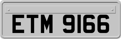 ETM9166