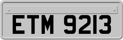 ETM9213