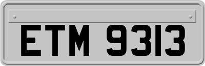 ETM9313