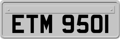 ETM9501