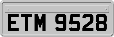 ETM9528