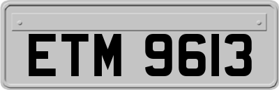 ETM9613