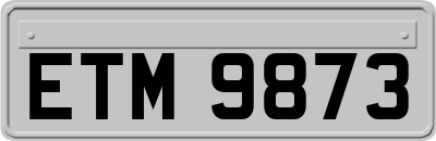 ETM9873