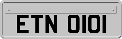 ETN0101