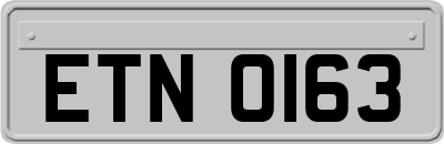 ETN0163