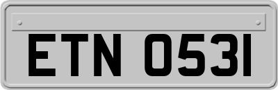 ETN0531